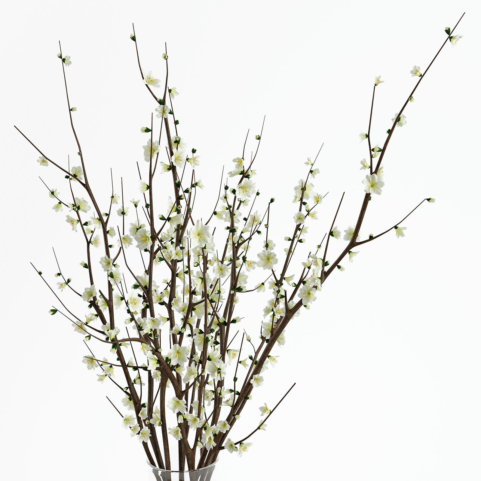 Branches in a vase 3D model_1