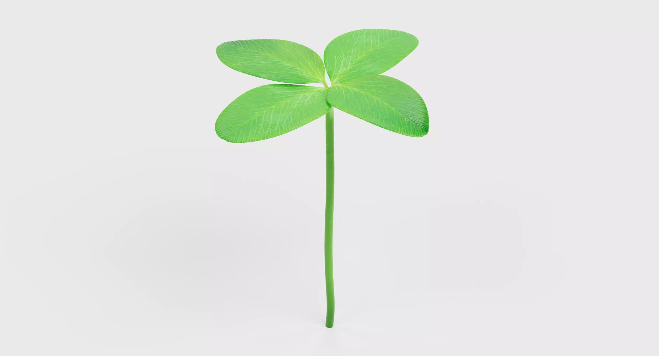 Clover V2 - Four-Leaf Trefoil Plant 3D model