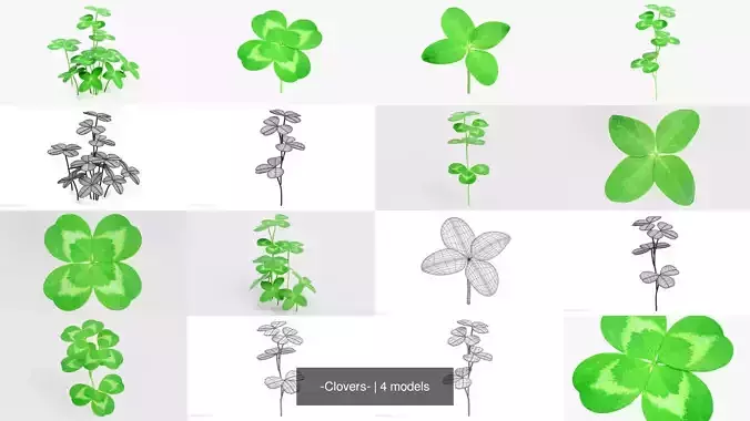 -Clovers-