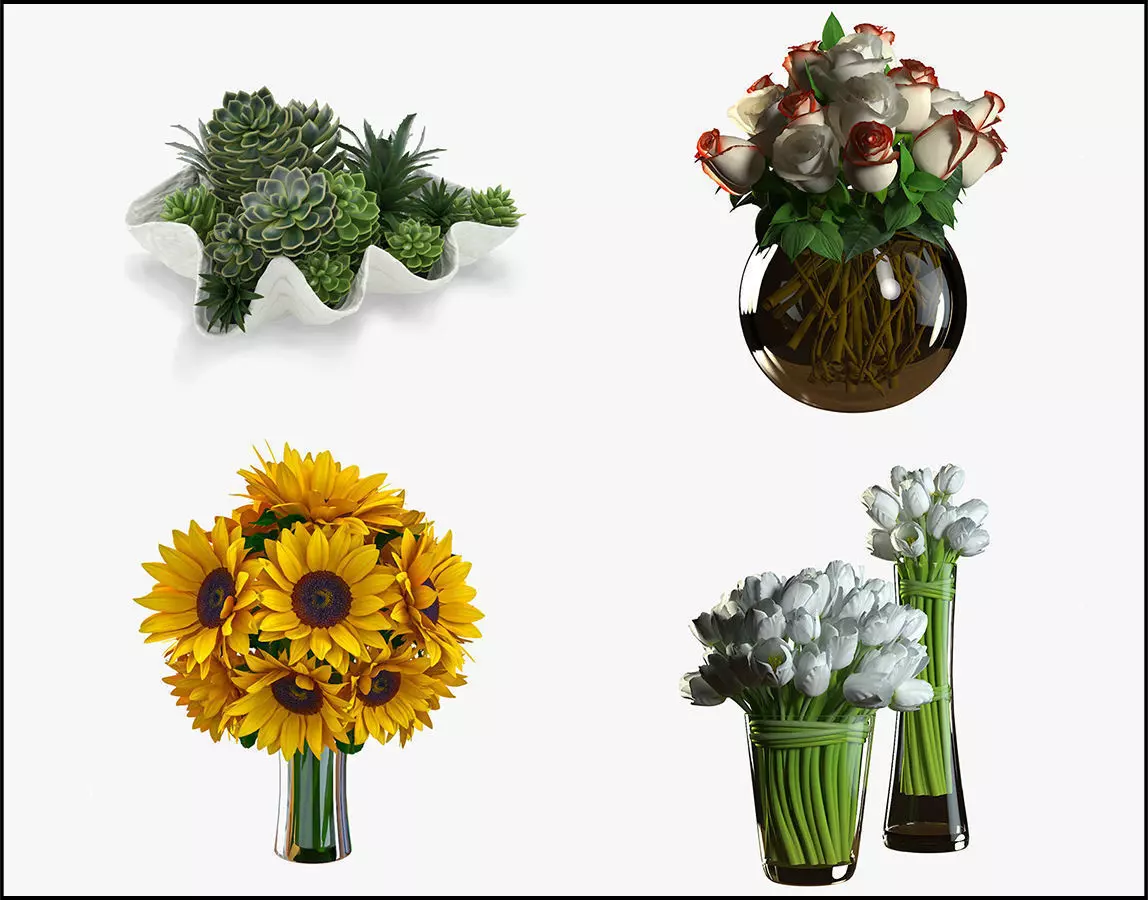 Flowers collection 01 3D model