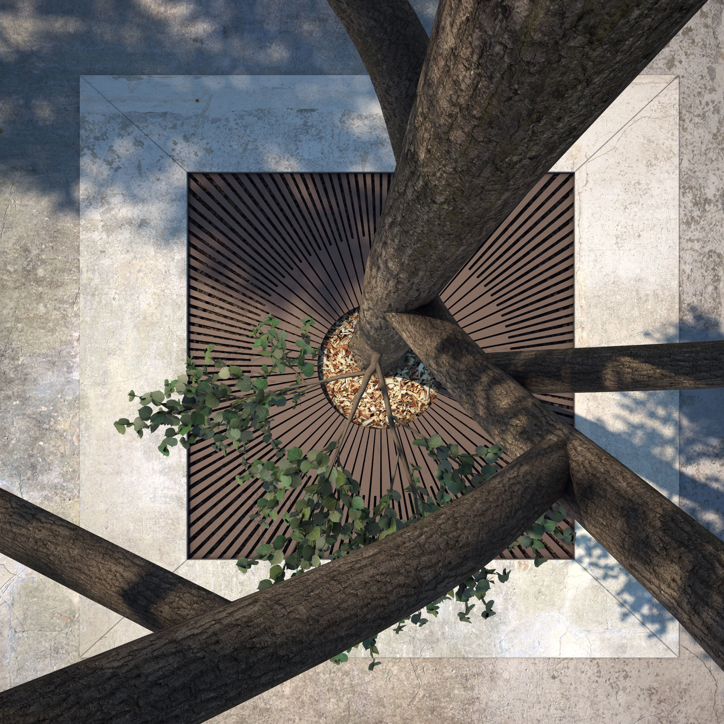 Tree Grate 02 3D model_3
