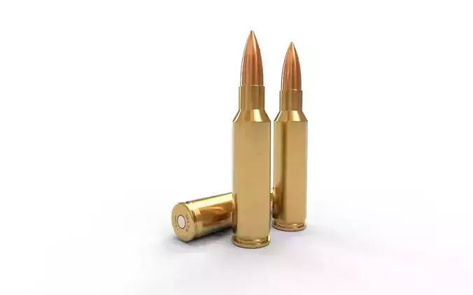 300 Ruger CM Ammo