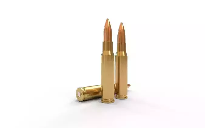 308 Winchester Ammo