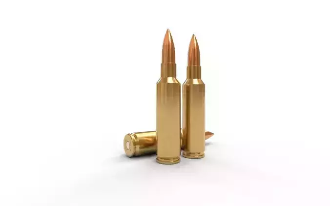 300 Winchester SM
