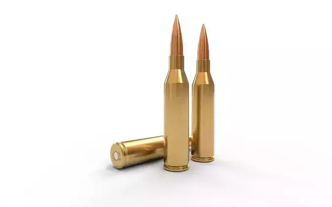 300 Norma Magnum Ammo