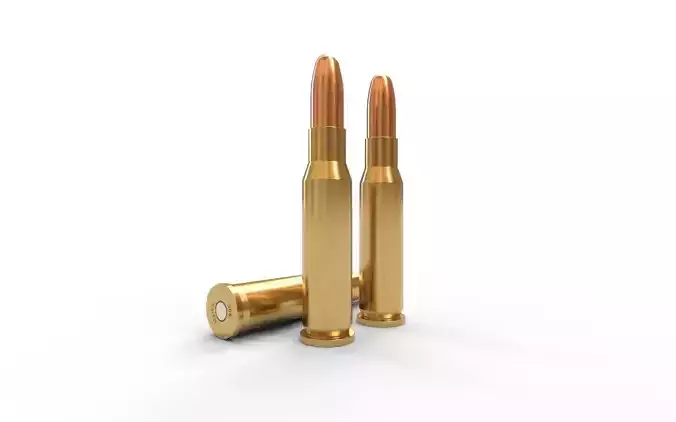 308 Marlin Ammo 