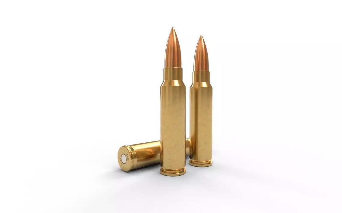 300 Savage Ammo Low-poly 3D model