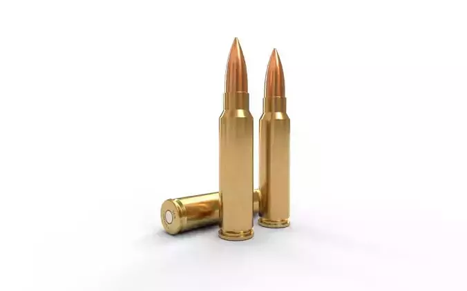 300 Savage Ammo