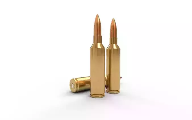 270 Winchester SM Ammo