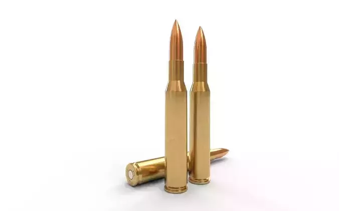 270 Winchester Ammo