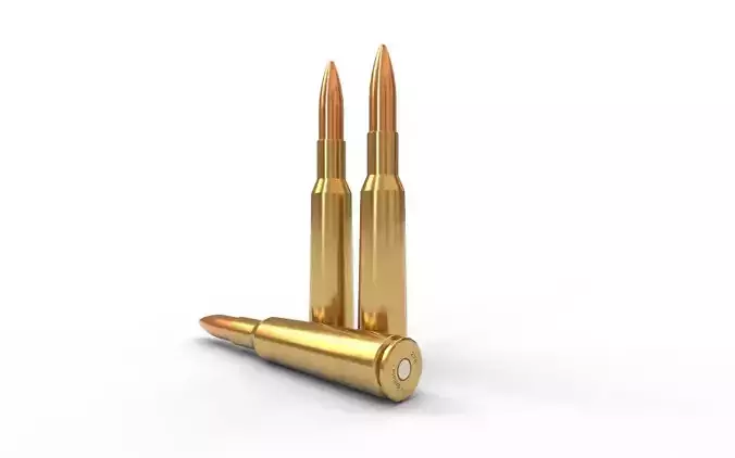 276 Enfield Ammo