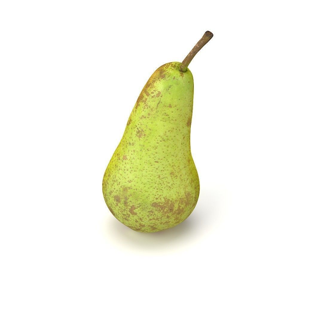 Conference  Pear 3D model_15