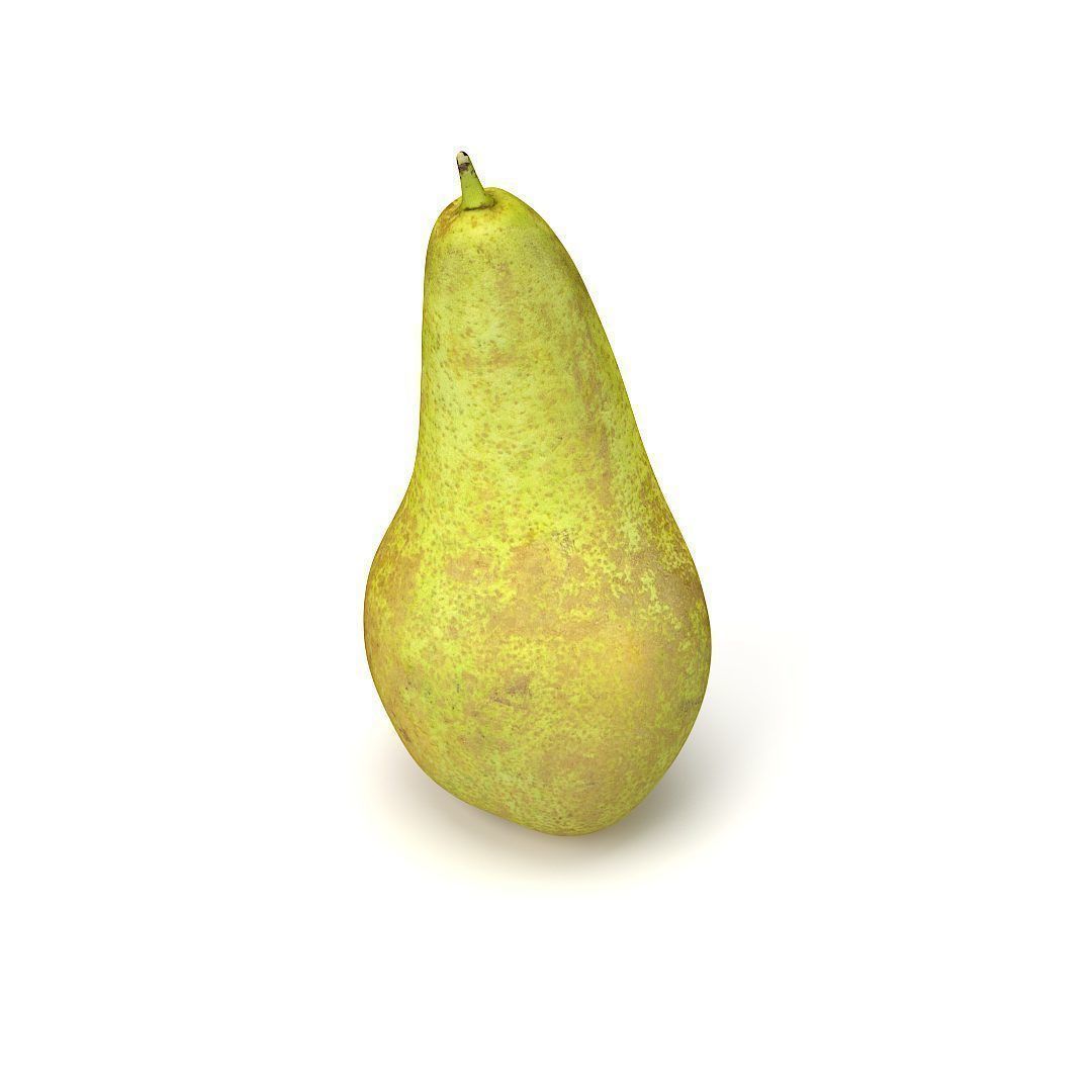 Conference  Pear 3D model_13