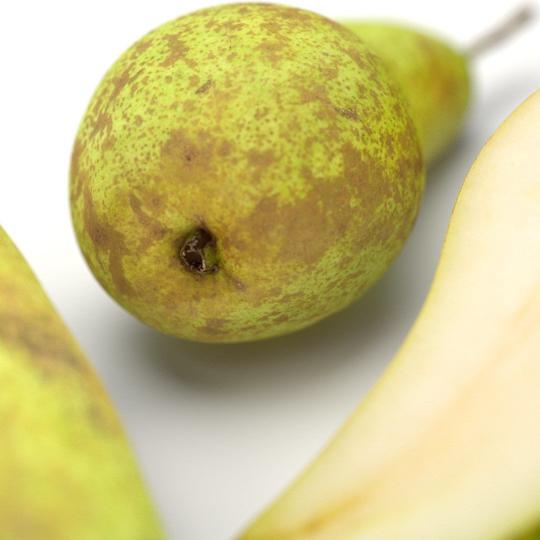 Conference  Pear 3D model_4