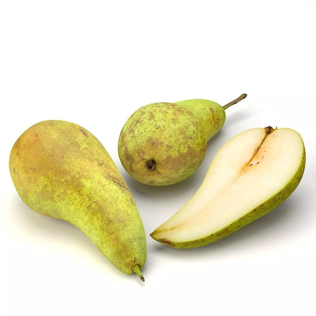 Conference  Pear 3D model_0