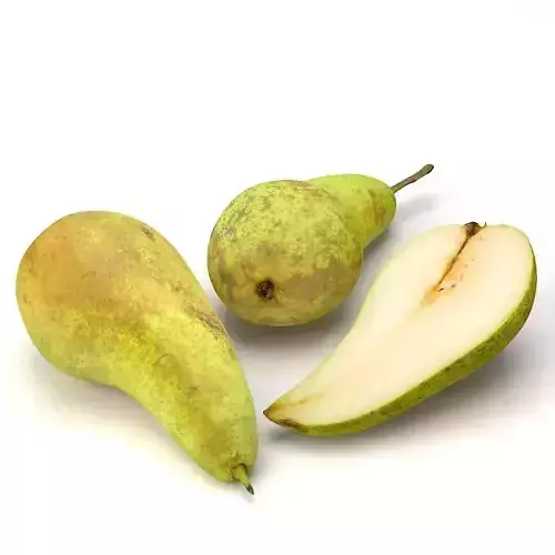 Conference  Pear