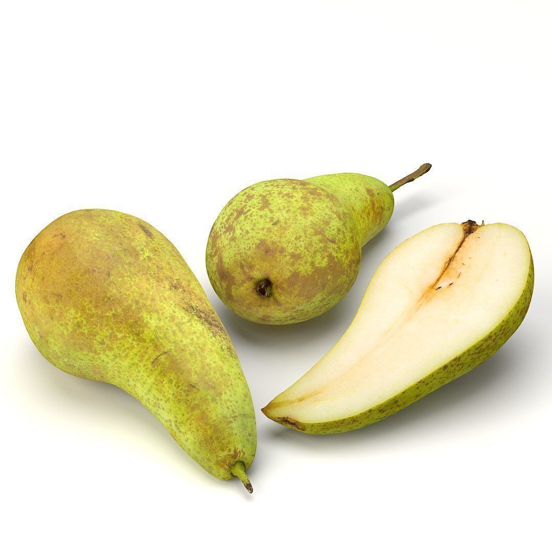 Conference  Pear 3D model_5