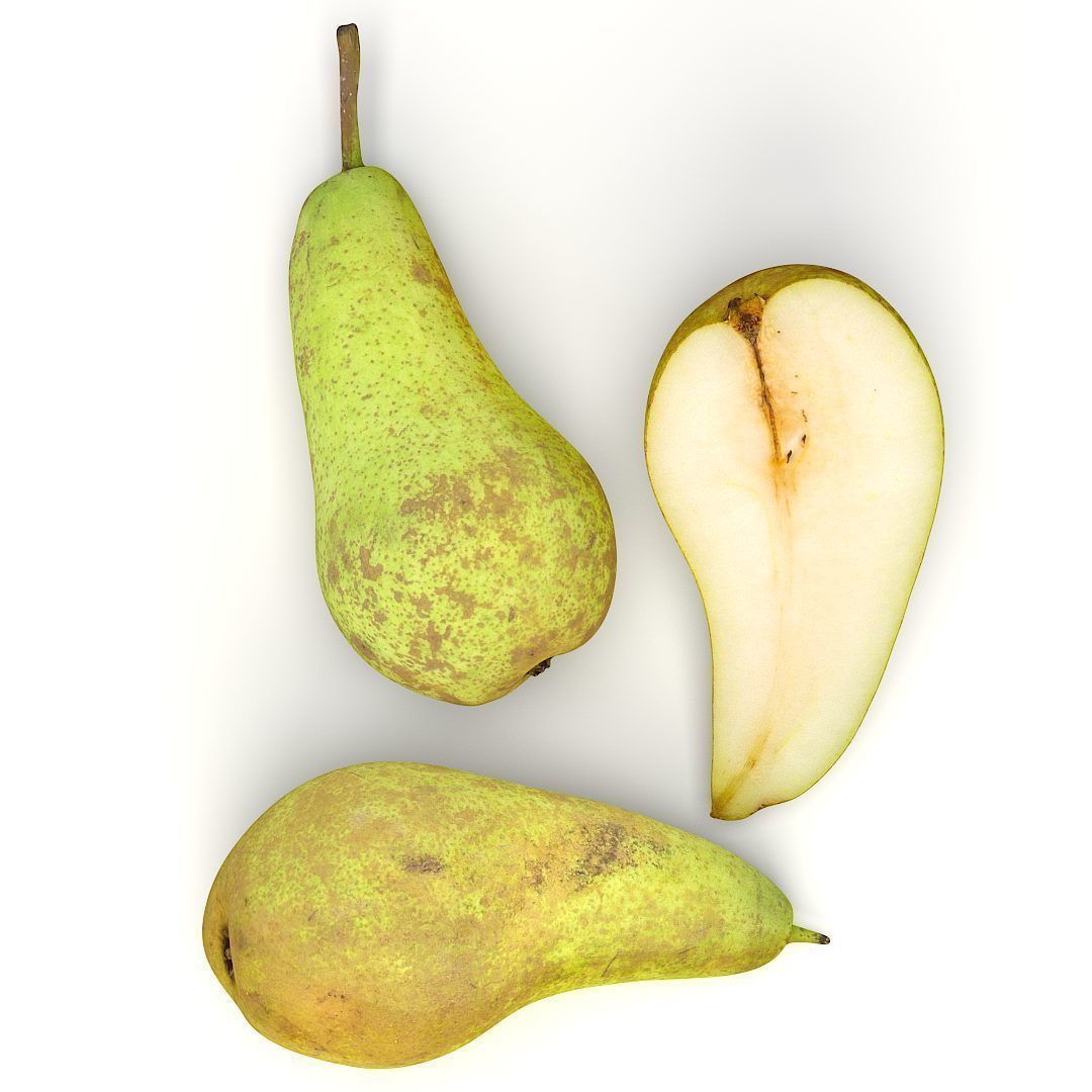 Conference  Pear 3D model_2