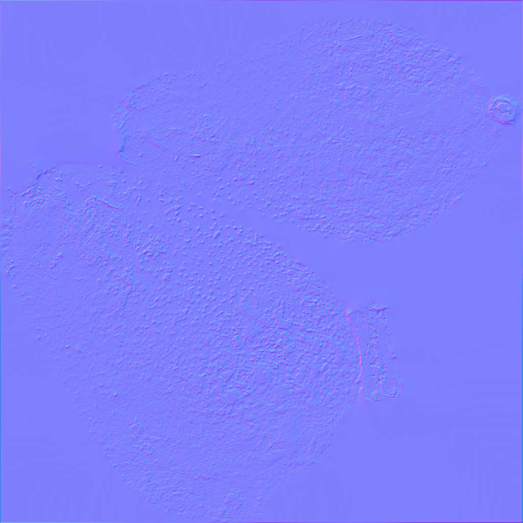 Conference  Pear 3D model_9