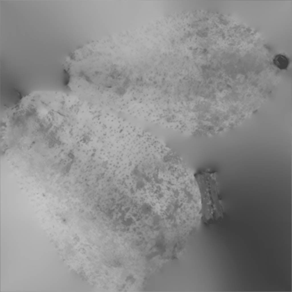 Conference  Pear 3D model_10