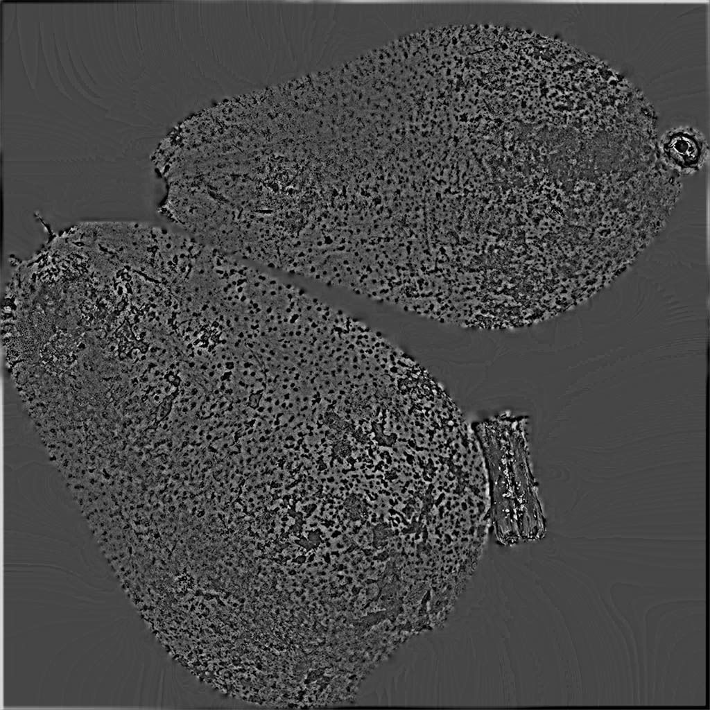 Conference  Pear 3D model_12