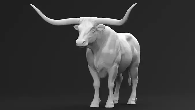 Texas Longhorn Bull 01