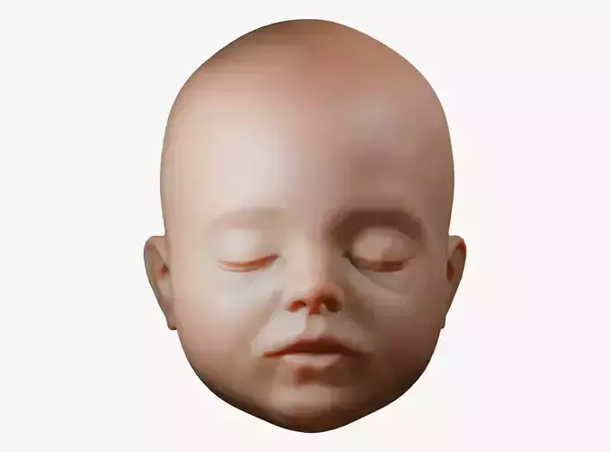 Baby Head