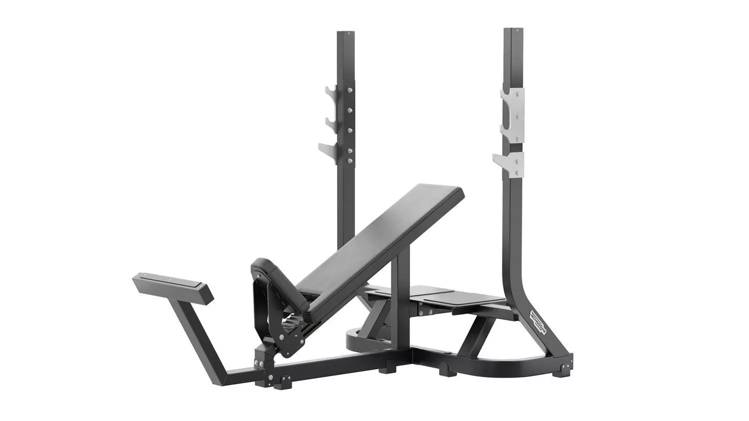 Technogym Olympic Inclined Bench Pure 3D model