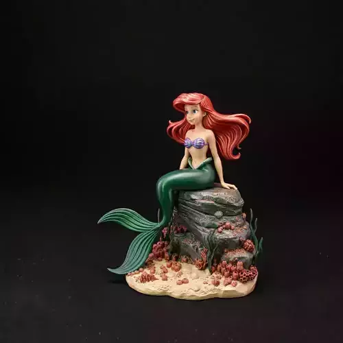 little mermaid