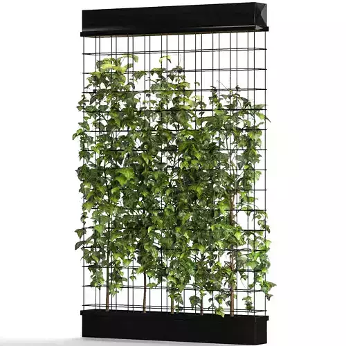 Room Divider Planter