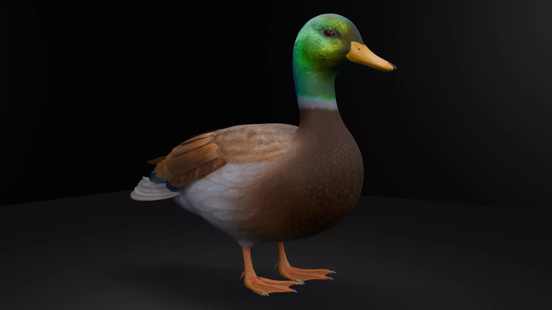 Duck-3dmodel Low-poly 3D model