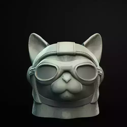 Pro Pilot Cat Planter 3D Printable STL File