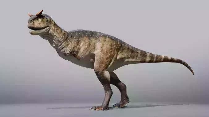Carnotaurus Rig