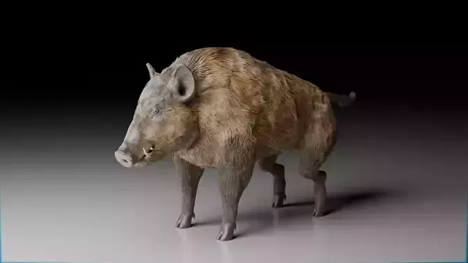 Realistic Wild Boar High-Quality 3D Model