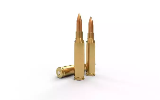260 Remington Ammo