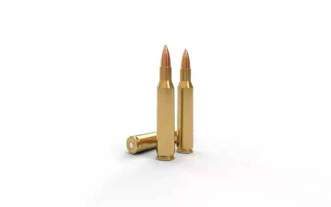 257 Roberts Ammo