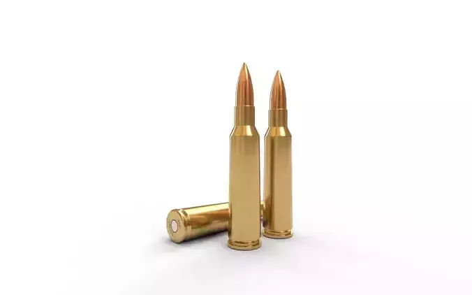 250 Savage Ammo