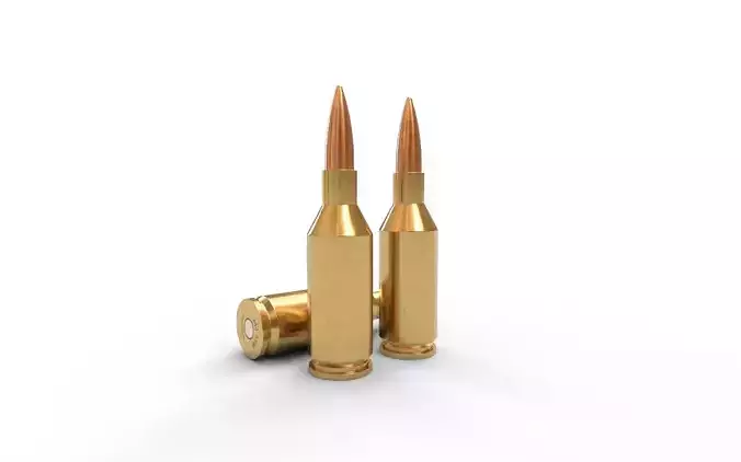 243 Winchester SSM Ammo