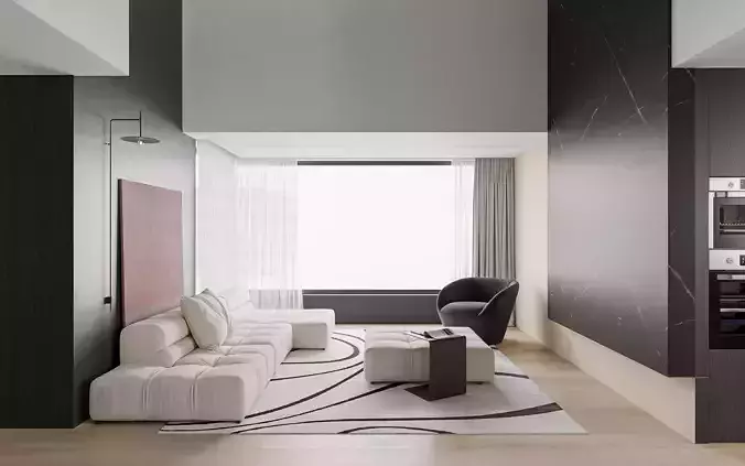 Modern minimalist living room