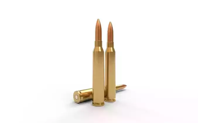242 Rimless Ammo