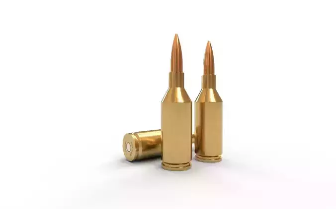 223 Winchester SSM Ammo