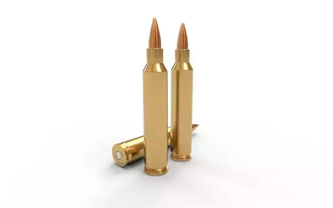 204 Ruger Ammo