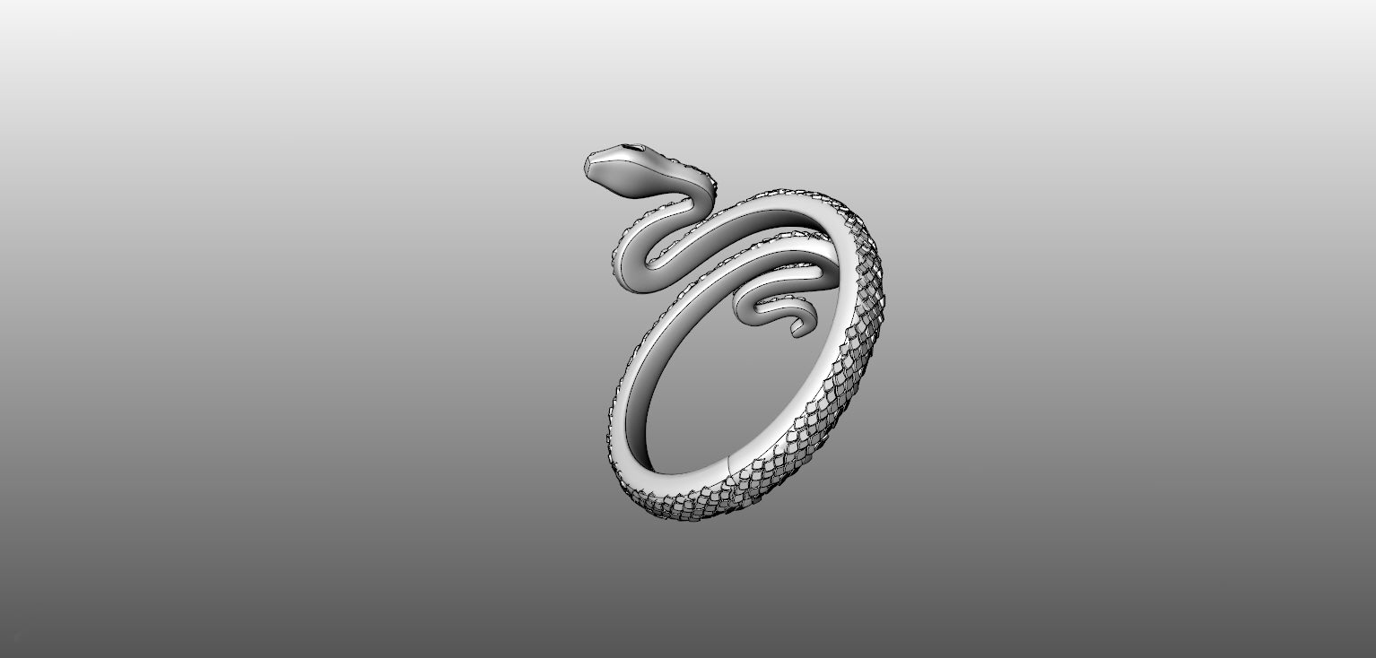 Ring Snake  3D print model_2