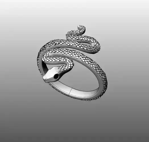 Ring Snake 