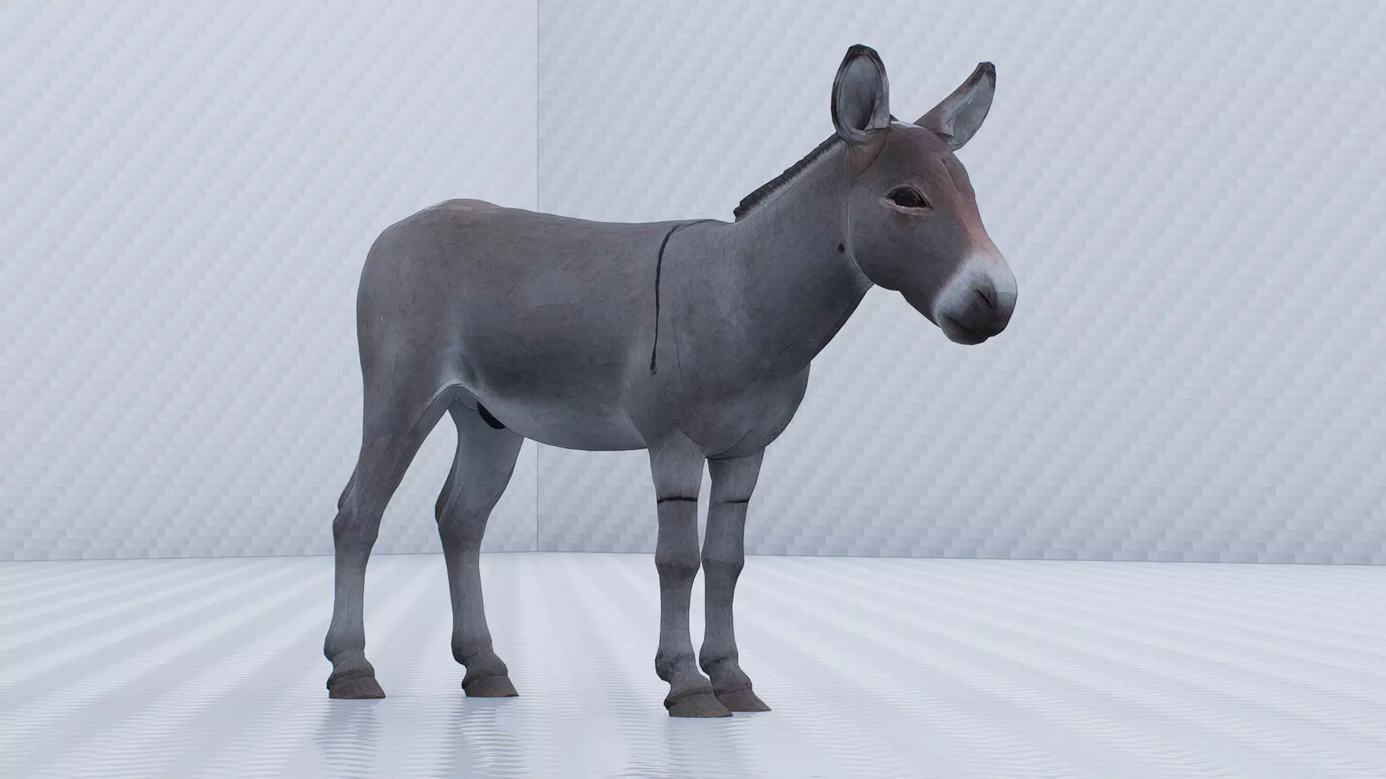 Donkey Low-poly 3D model