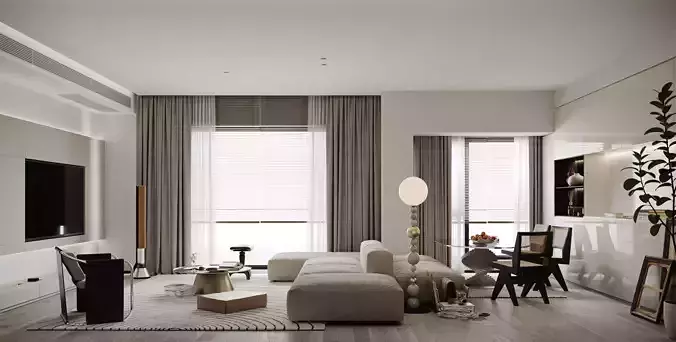 Modern minimalist living room