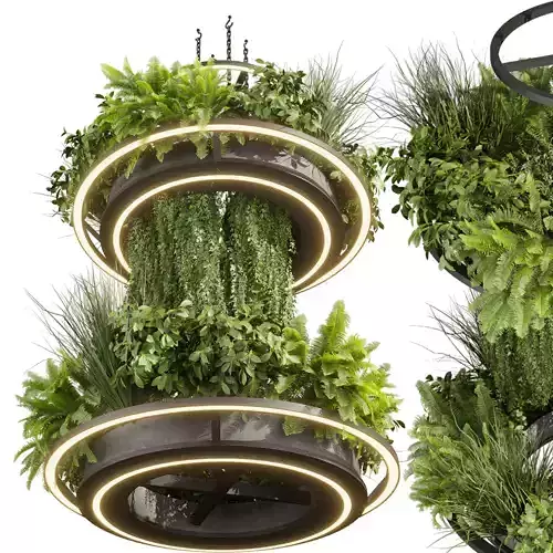 plant vol 741 - chandelier - ampelous - hanging - fern