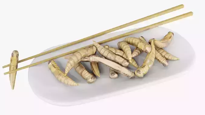 Grasshoppers edible insects