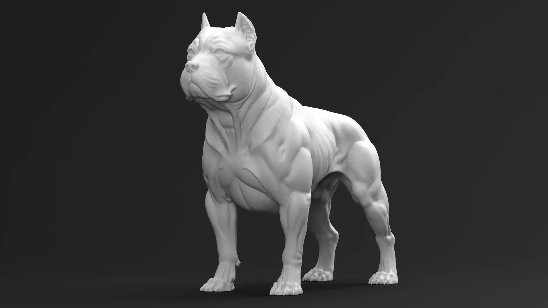 American Bully 01 3D print model