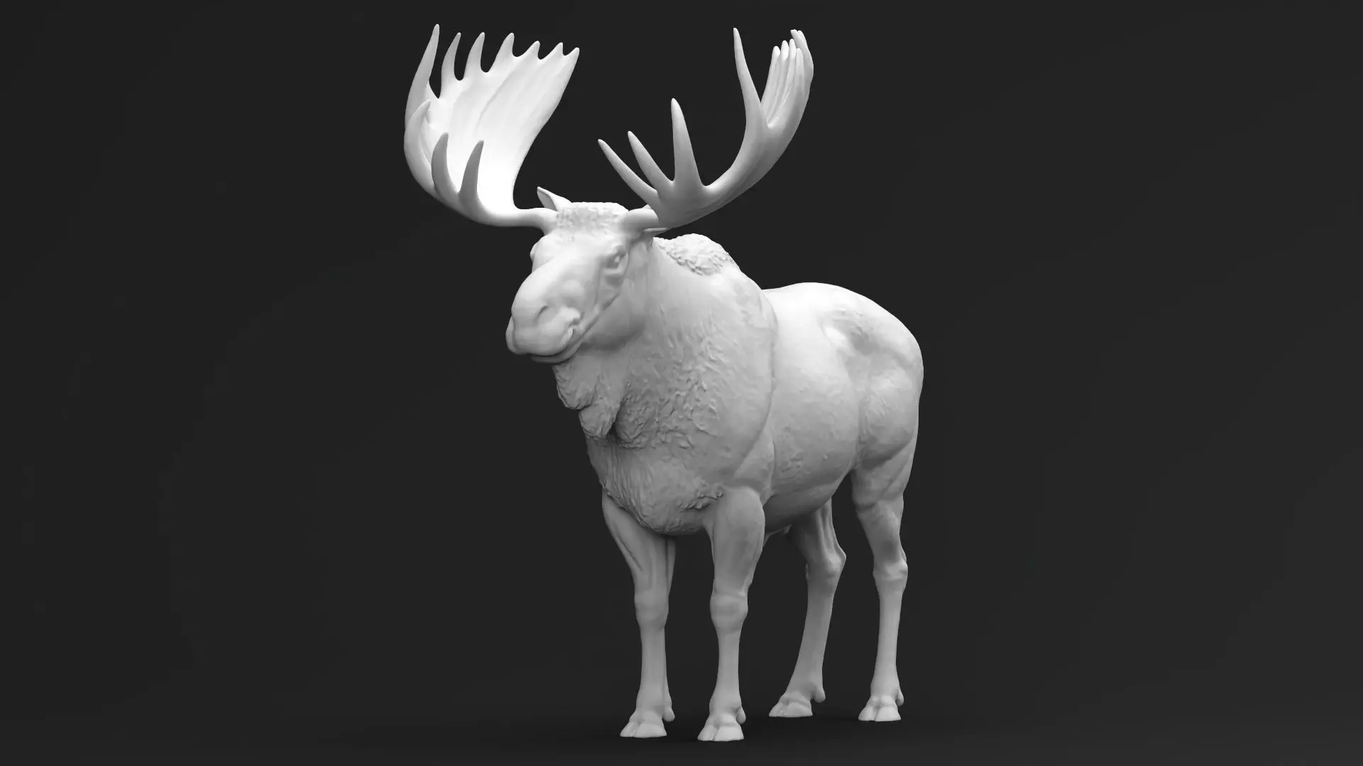 Bull Moose 01 3D print model